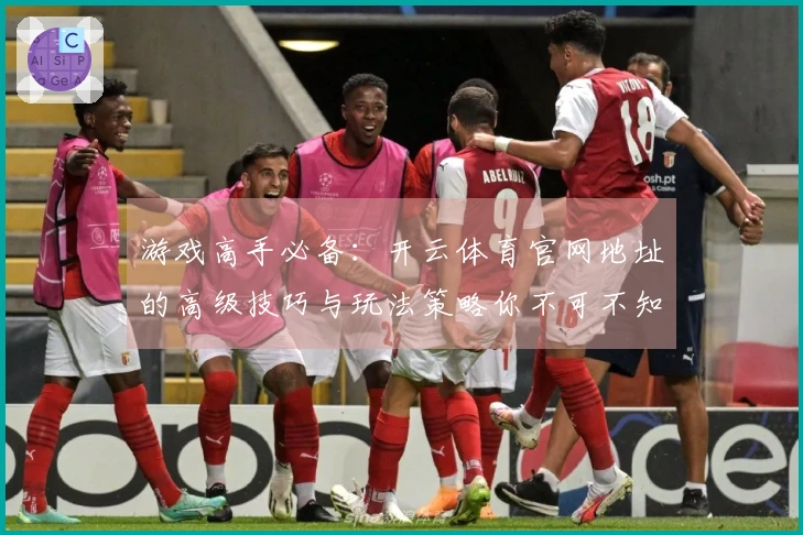 游戏高手必备：开云体育官网地址的高级技巧与玩法策略你不可不知