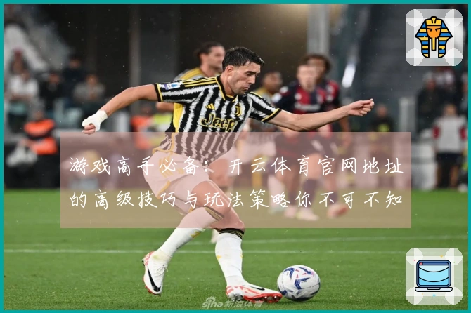 游戏高手必备：开云体育官网地址的高级技巧与玩法策略你不可不知